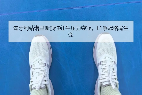 匈牙利站诺里斯顶住红牛压力夺冠，F1争冠格局生变