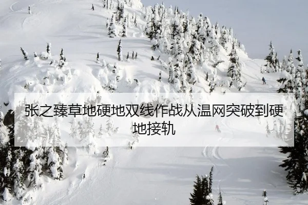 zhang-zhi-zhen-cao-di-ying-di-shuang-xian-zuo-zhan-cong-wen-wang-tu-po-dao-ying-di-jie-gui-3-821.jpg